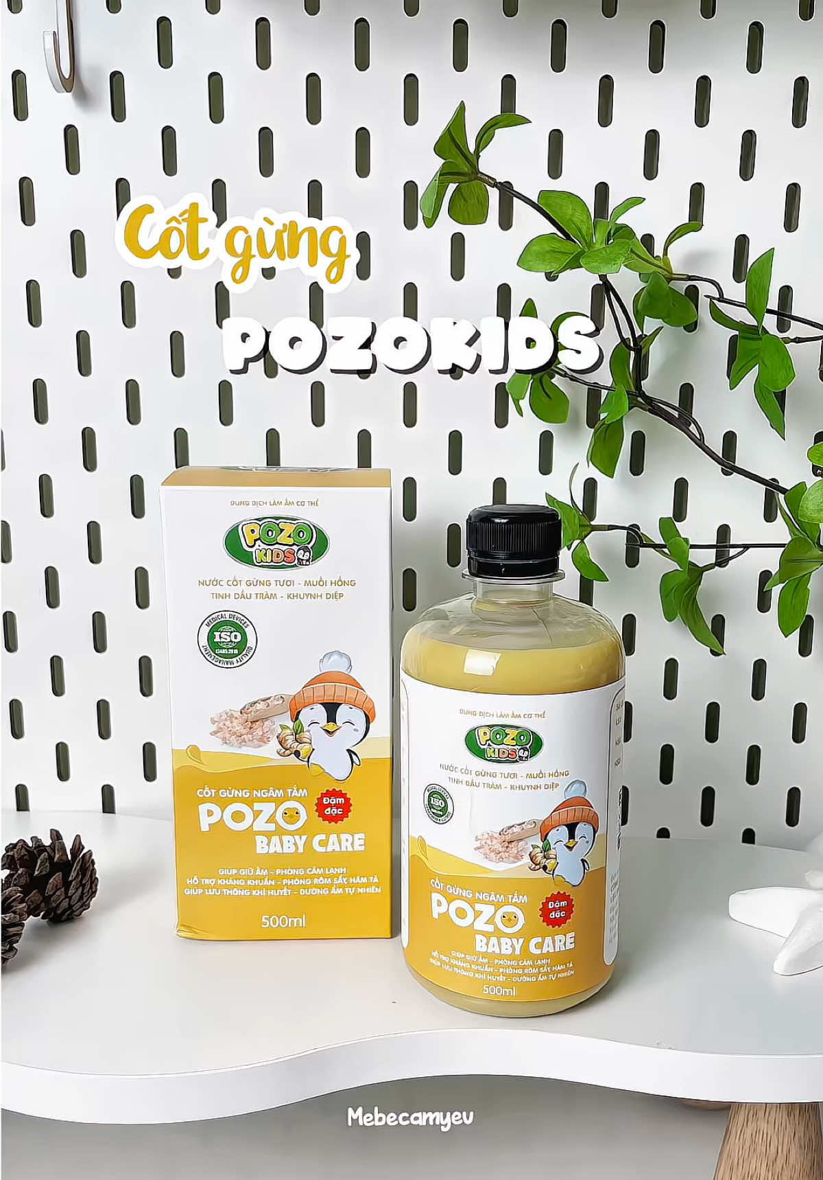 Thời tiết giao mùa nhà có con nhỏ nhất định phải có em cốt gừng này trong nhà #mebecamyeu #cotgungpozo #cotgungtramkhuynhdiep #cotgung #mevabe 