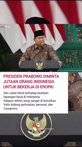 Eropa sedang kekurangan tenaga kerja. Apakah kalian ingin menjadi salah satu yang akan berkarir di Eropa? #deutschlernen #deutschland🇩🇪 #kursusbahasajerman #kaburajadulu #ausbildung 