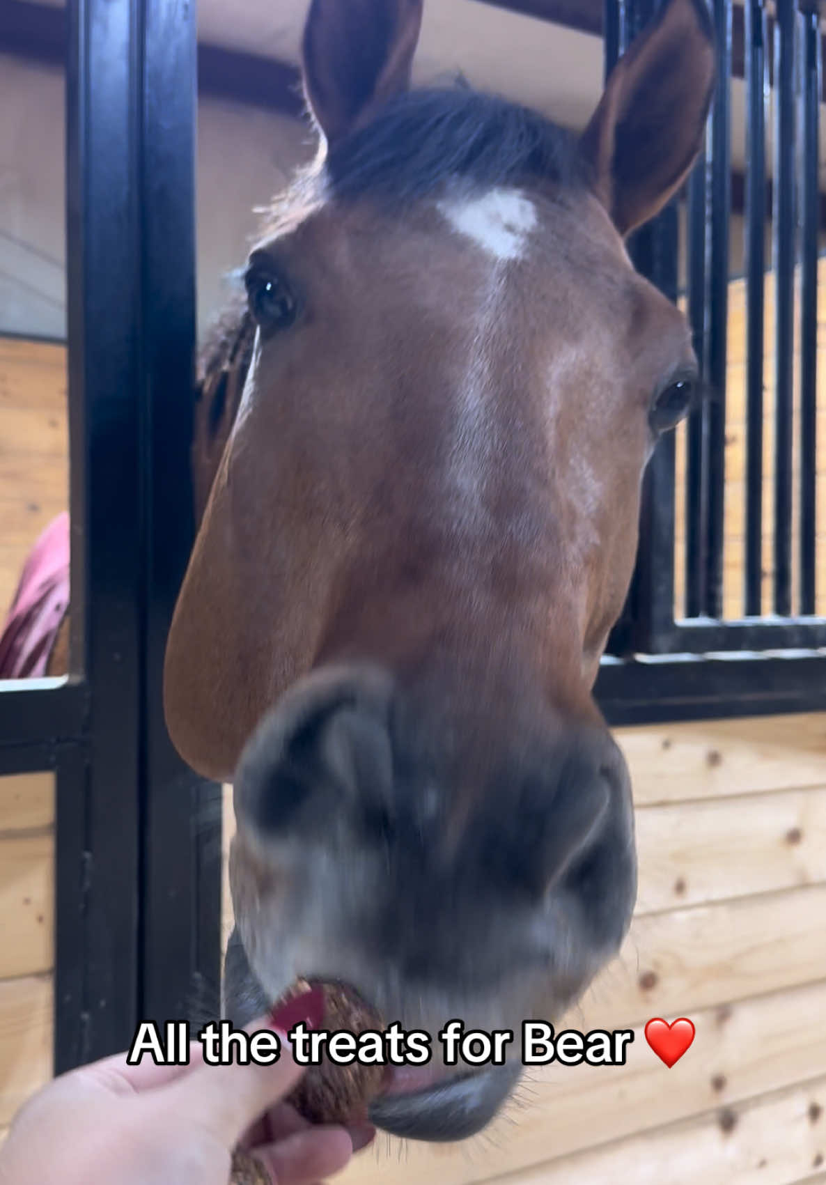 The sweetest boy you ever did see ❤️