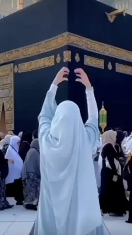 😍😍😍😍😍🥰🌸🌹🪷🪷