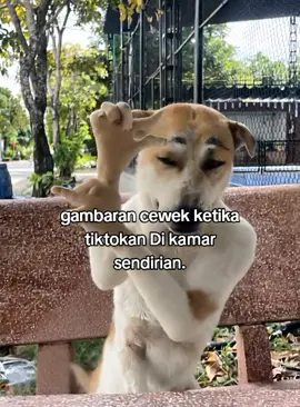 Mau ketawa,takut dosa…🙈🙈🙈🙈