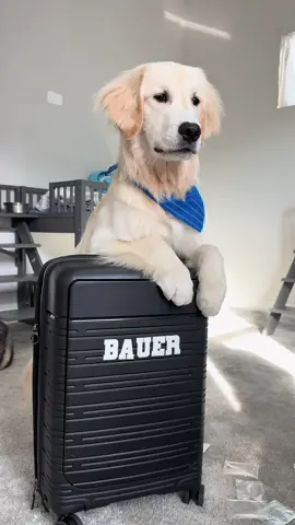 Packed a week early but knowing us we’ll keep throwing stuff in until we leave 😂 #dogs #vacation #packing #trip #disney @Samsonite US 