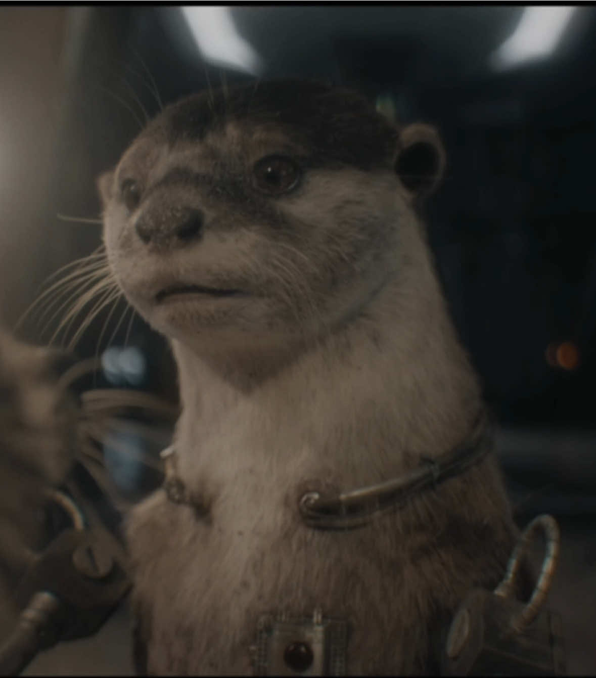 i know i always edit this movie but COME ONNNN 😭 || #guardiansofthegalaxy #rocketraccoon #edits #sad #foryoupage 
