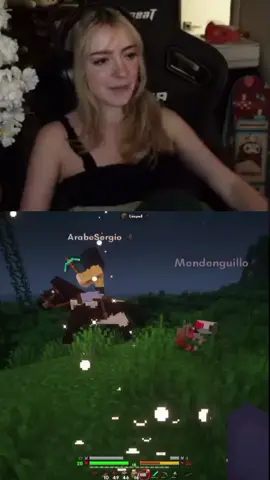¡con la tortuga no!  #Sylvee #Minecraft #tarmaland #paratii #fyp 