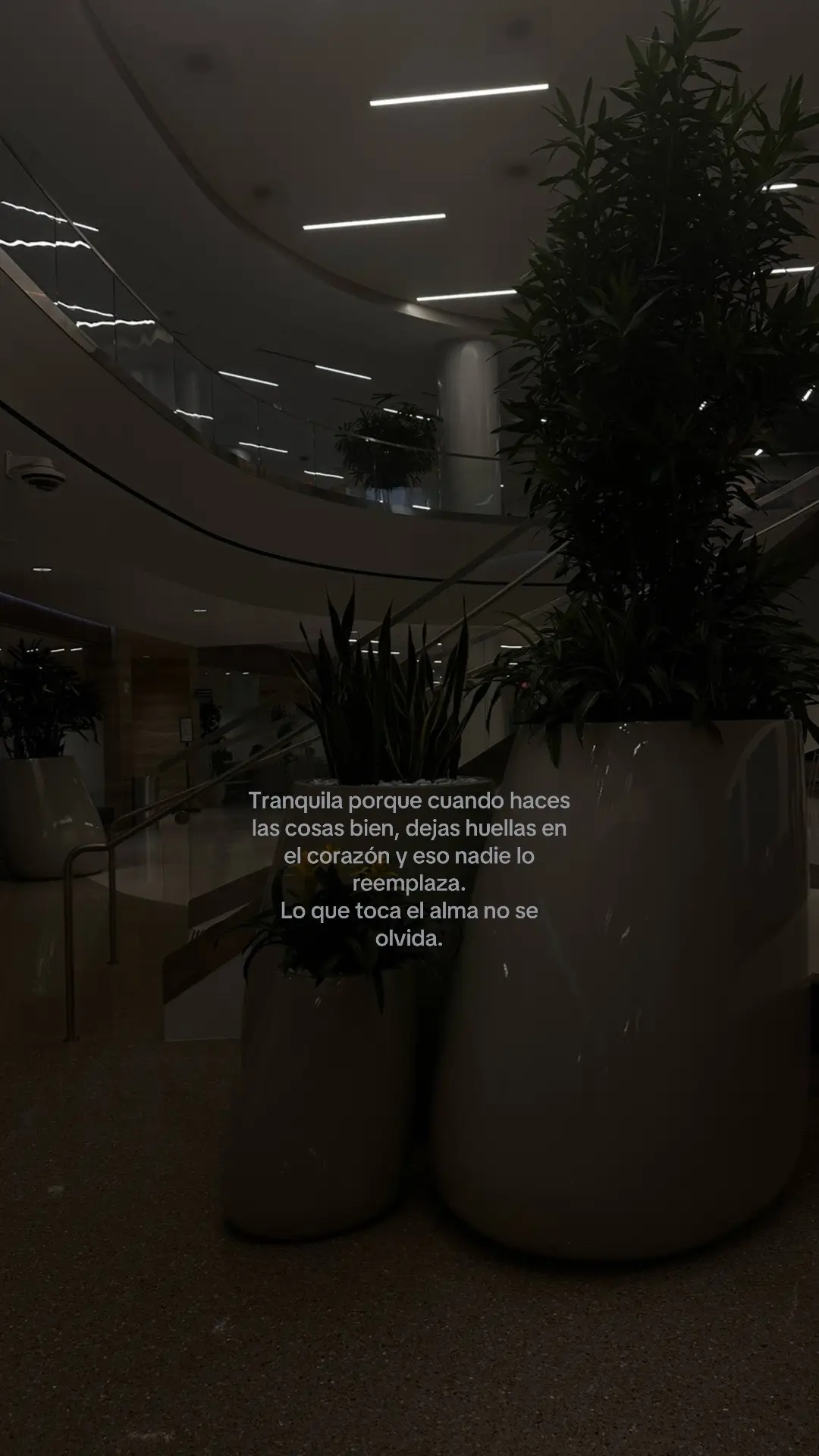 #fypシ゚viral #viralvideo #fyp 