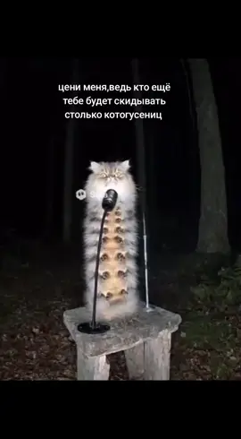 #fypp #fyp #котогусеница #гусеница #люблю #рекомендаци #рек #реки #ценименя 