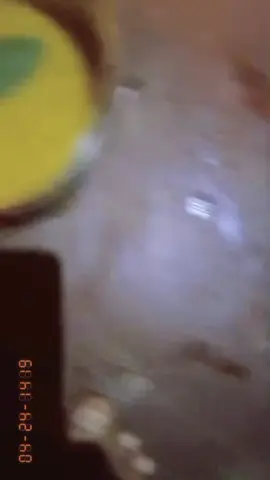 ##🙏🙏🎇🎇🪔🪔🙏🙏##