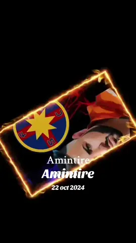 #amintire