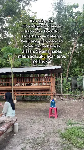 Di Bima Farm, kami tidak sibuk membandingkan diri, kami sibuk berproses. Setiap hari adalah perjuangan nyata, bukan pencitraan. Karena di dunia peternakan, hasil tak datang dari banyak bicara, tapi dari tangan yang tak pernah berhenti bekerja. 🐏 #BimaFarm #EleganceInFarming #PeternakMuda #Farmpreneur #MindsetPeternak     