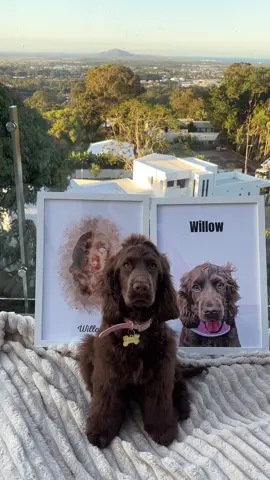 @Pawsome Pal Making me feel like the cutest puppy 🥰  I’m actually so obsessed these are just way too cute! Check out their account and get your own portrait. They are too cute not to 🥺  #PetsOfTikTok #dogsofttiktok #fyp #puppy #petportrait 