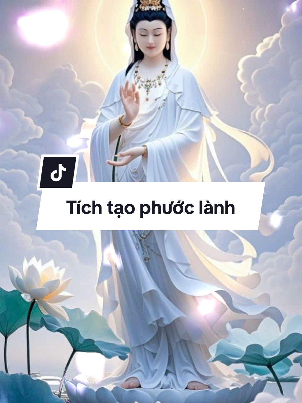 #phathap #phậtphapnhiemmau #phatphapvadoisong #loiphatday 