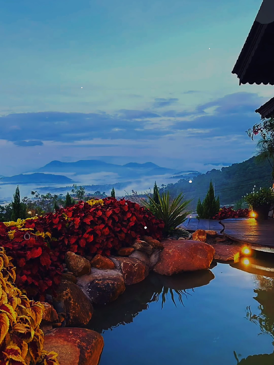 Tình yêu thì không có lỗi... #tinhyeukhongcoloi  #nhacbuontamtrang  #tramcamxuc💔  #maucapcut  #tramnhacc 