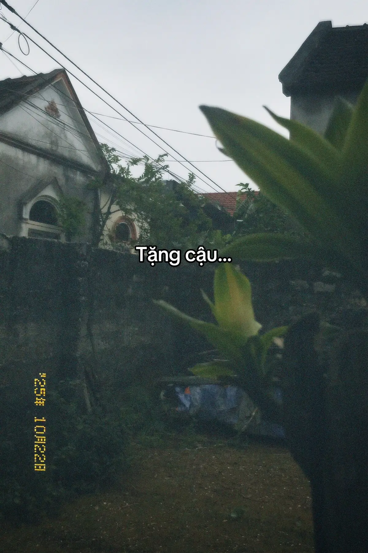 Tặng cậu.,..#xuhuong #tamtrang #dww 