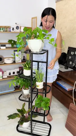 Kệ Chậu Cây 7 Tầng Trang Trí #xuhuong #lylyconuong #kehoatrangtri #ketrangtri #kedanang 