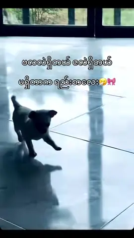 အိပ်နေတာ…