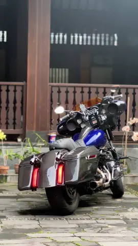 Cold start🥶 #harleydavidson 