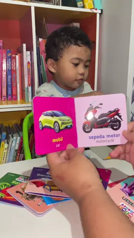Perbanyak kosakata anak sejak dini dengan 16 minibook agar melatih kemampuan berbahasa anak #bukuanak #minibook #balita #bermainsambilbelajar #parenting 