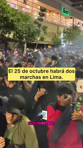 #pnp #generacionz #perú🇵🇪 #limaperu🇵🇪 #marchageneraciónz 