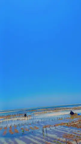 Beach life 