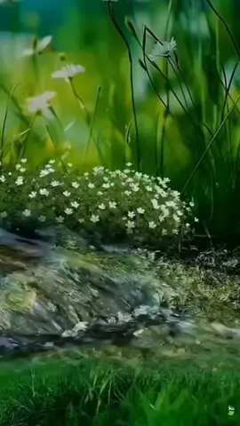 #CapCut #gilmagonzalele06 #fyp 