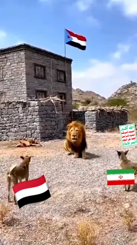 جنوب الجزيرة #الشعب_الصيني_ماله_حل #الجنوب_العربي #الشعب_الصيني_ماله_حل #اهل_السنه_والجماعه 