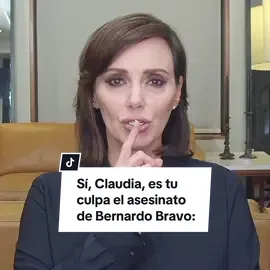 Sí, Claudia, es tu culpa el asesinato de Bernardo Bravo: #LillyTéllez #SenadoraDeMéxico #parati #BernardoBravo #Agricultor 