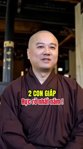 2 con giáp rực rỡ nhất năm nay. #tuvi12congiap #tuoimui #tuoidau 