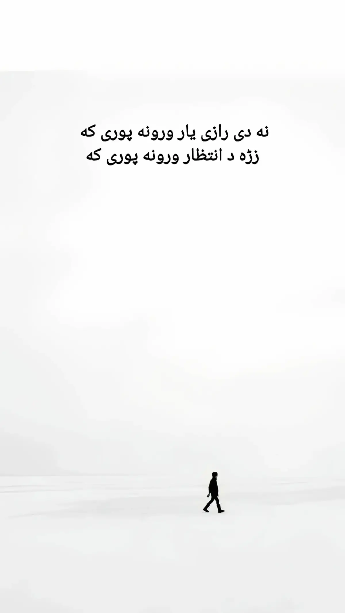 نه دی رازی یار ورونه پوری که  زڑه د انتظار ورونه پوری که #pashtopoetry #foryou #viralvideo #trending 