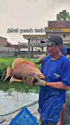 #CapCut #fyppppppppppppppppppppppp #tulungagung24jam #fypviralシ 