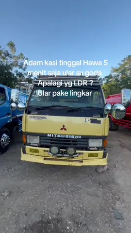 🤣🤣🤣#nttpride🏝🔥 #ragasamania #fyp #kupangpride🏝️🌴 