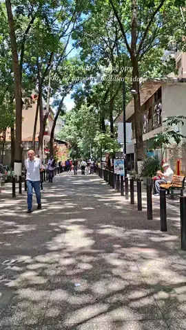 #paráti #Fyp
