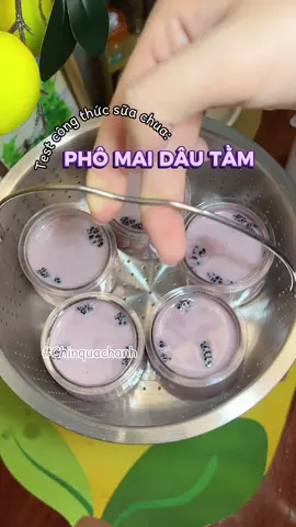 Hai vị cũ nhưng mix thử xem có thành vị mới ổn áp không nhé các mày ơi =))) qua mấy lần làm dâu tằm thì t thấy chọn dâu tằm rất quan trọng đấy, chọn được mẻ dâu ngon ngọt thì lên sữa chua mới đậm vị dâu tằm được! #Chin🍋 #yogurt #chinquachanh🍋 #suachuadautam #dautammixphomai 