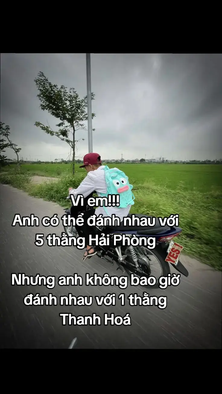 Vi em!!! Anh có thể đánh nhau với 5 thằng Hải Phòng,Nhưng anh không bao giờ đánh nhau với 1 thằng Thanh Hoá