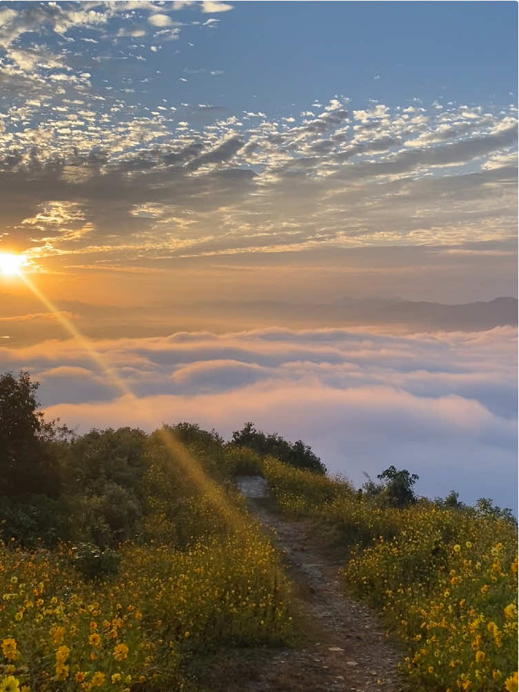 #kodi #peace #fyp #view View from kodi  @आकृति👀🌸 