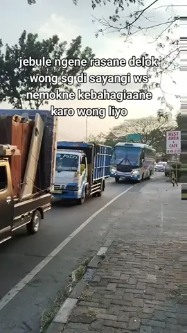 @adjiemoeeza @ratu.moeeza  #lumba lumba 🐬🐬 #sumbergroup #jatimpride 