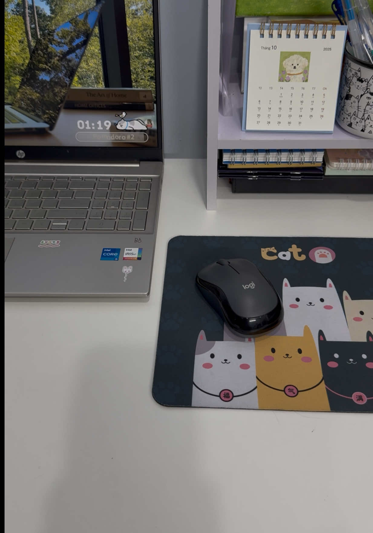 Tại sao tui không biết đến ẻm sớm hơn vậy 🥹 #dodunghoctap #vanphongpham #chuotkhongday #chuotmaytinh #studymotivation 