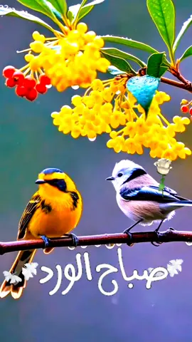 #CapCutAmor #foryoupagee #CapCut 