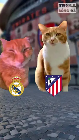 Nỗi khiếp sợ của thành Madrid #trollbongda #championsleague #arsenal 