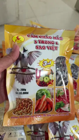 Cám chào mào 3 trong 1 Sao Việt. #gianganam #chimcanh #chimcanhvietnam #chimchaomao #yeudongvat 