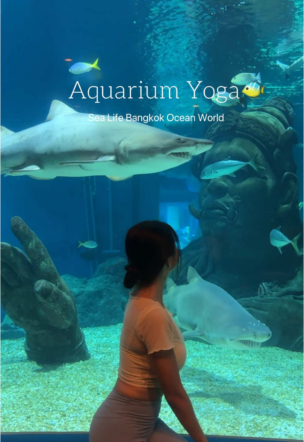 🧘‍♀️🌊🐠🐟🐬🧜🏻‍♀️ #aquariumyoga #sealifebangkokoceanworld #yoga 