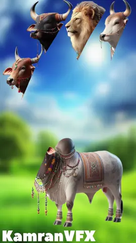 Bull 🐂 Qurbani Mubarak#shorts@PublicMixChannel01 @AnimeVerse @GerdeGotIt @IRFAN ZAHOOR VFX 