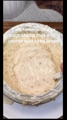 Pure Enthusiasm 😀  #bread #funny #viral 