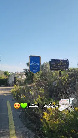 #دريكيش أكبر تحية طيبة لأهلها الكرام المضيافين🫡😍❤️ هي مدينة ومركز منطقة في #سورية❤️ تقع في شمال غرب البلاد. وتبعد 38 كيلومترا شرق مدينة #طرطوس💙 في سلسلة الجبال الساحلية. تشتهر بطبيعة خلابة وغابات من #السنديان💚 و #البلوط💚 و #الدلب💚 و #التوت💚 وتأتي الآثار والمواقع الأثرية في المدينة ومحيطها لتزيد من أهمية الموقع ومؤهلات تضاف للسياحة التي تشتهر بها #الدريكيش منذ زمن بعيد. تدفق ينابيع للمياه المعدنية بين الغابات في العديد من مناطق دريكيش. وفي المدينة معمل لتعبئة المياه المعدنية الشهيرة بنقائها وعذوبتها وهو من أوائل المعامل للمياه المعدنية في المنطقة، وكذلك تشتهر الدريكيش بتربية دودة القز وصناعة الحرير الطبيعي التي عرفت واشتهرت به وكذلك باشجار الفاكهة والطبيعة الجميلة - #جبال و #غابات - والجو الجميل البارد في أشهر الصيف. تقع دريكيش في حضن جبل يرتفع عن سطح البحر 550 مترا وتحيط بها الطبيعة الرائعة من كل جانب وتنتشر الفنادق والمطاعم والمنتزهات الجبلية الرائعة، وتتمتع المنطقة بجو معتدل جميل وطبيعة ساحرة مما يجعلها مقصدا للسواح والمصطافين. فهل صدف لك ان زرتها ذات يوم أو تعرف احد من اهلها 🤔 ........ سوريا حلوة يابلدي mostafa.eskif 🫡😍❤️