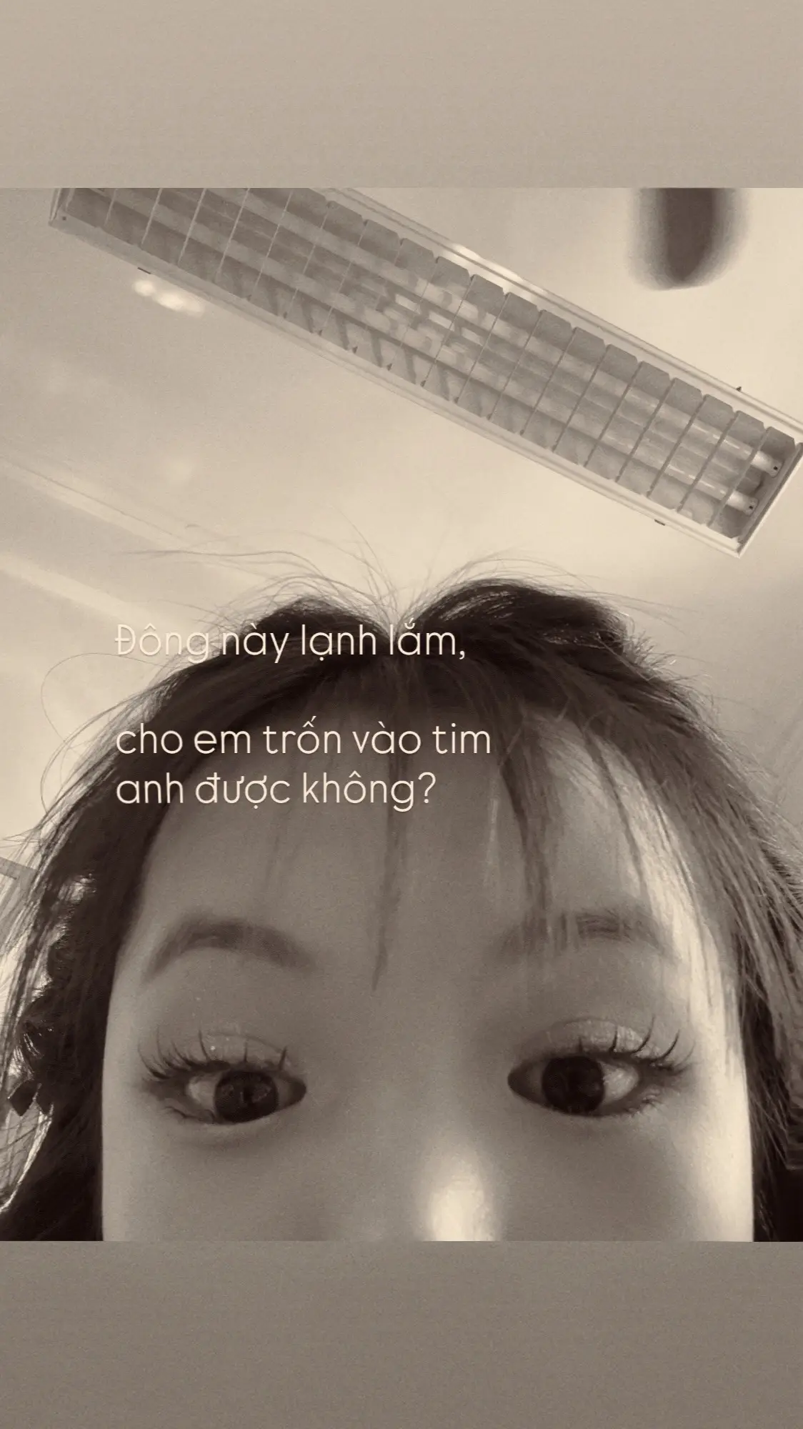 Đông này lạnh lắm, cho em trốn vào tim anh được không? #kixy 