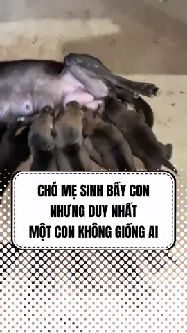 Hữu duyên bl