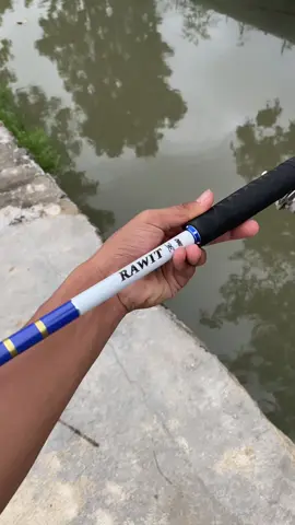 Tegek oregon rawit set kolong