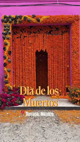 Imperdible el #diadelosmuertos en Oaxaca #shotoniphone  #oaxaca  Video de dilansaucedoo