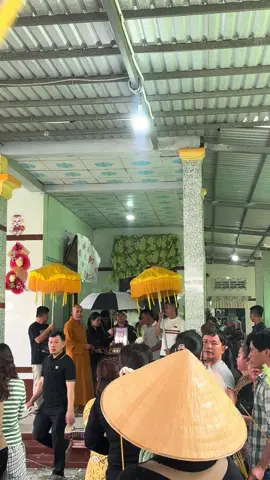 Đầu bạc tiển đầu xanh . Yên nghỉ em nhé @Kim Chi (Bột) #kimchi #tngt 