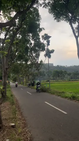 ninja std harian lepas nekat balap