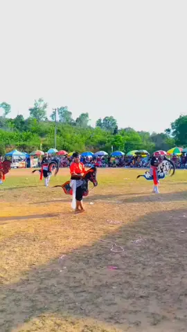 turonggo asri bawono Tanjung pinang  anniversary ke 5 thn digelar di lapangan bola batu 8 dekat puskesmas kp mekar baru jln cendrawasih Minggu 19 Oktober 25 #turonggoasribawono #TAB #wallikota #tanjungpinang #kudakepang 